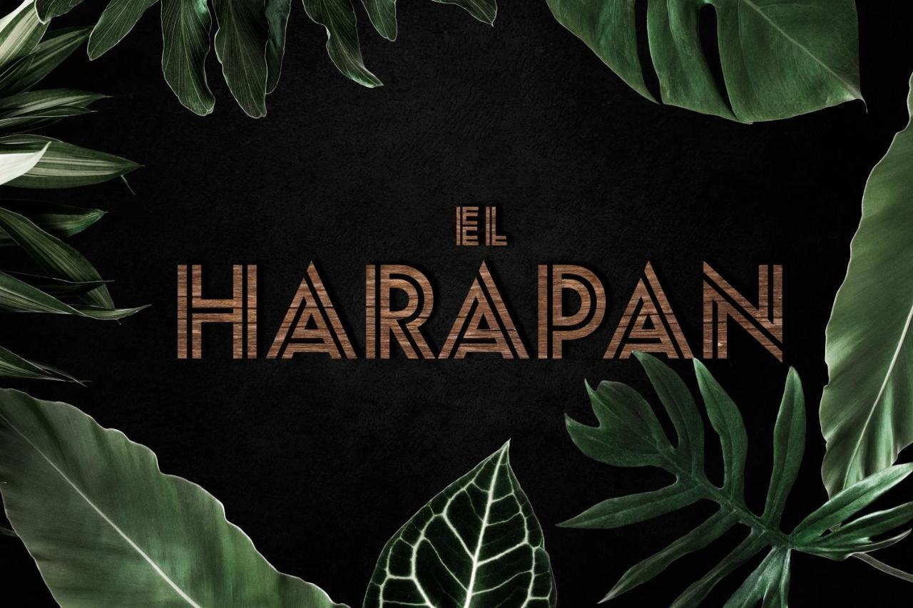 El Harapan - Sumergete En Una Selva A Pie De Playa - Grupo Querbes Gijón Zewnętrze zdjęcie